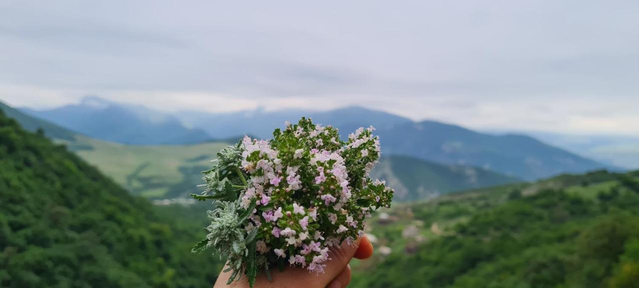 "Budur" Guest House Gandzakar Buitenkant foto